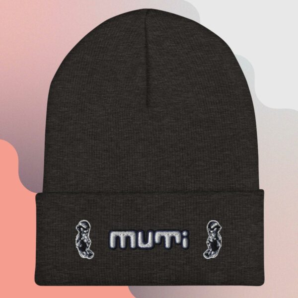 Muti_Cuffed Beanie - Image 4
