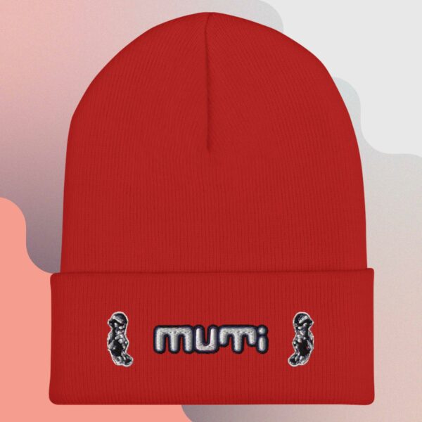 Muti_Cuffed Beanie - Image 2